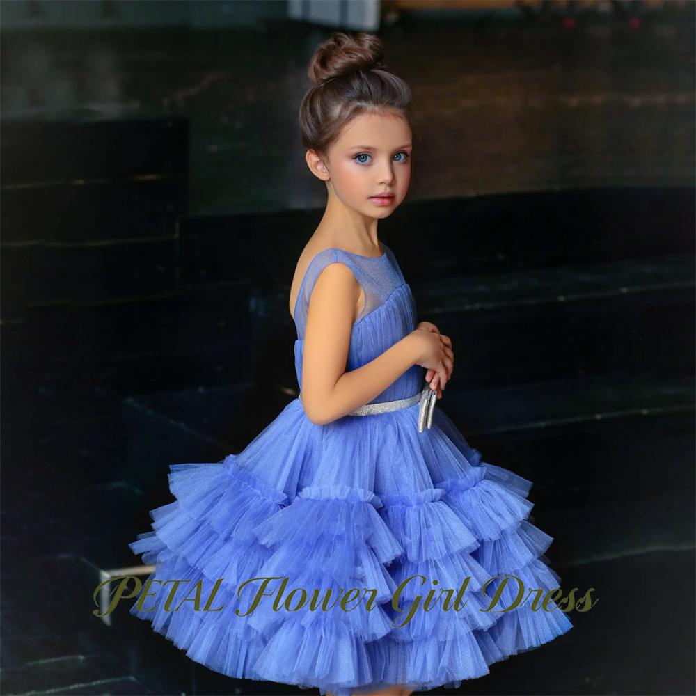 Синее детское платье без рукав – обзор и цена Birthday Sash Glitter