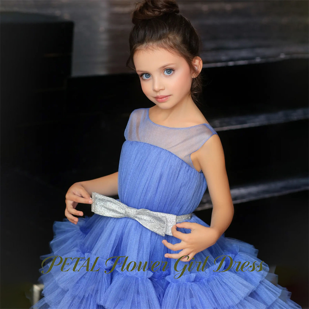 Синее детское платье без рукав – обзор и цена Birthday Sash Glitter
